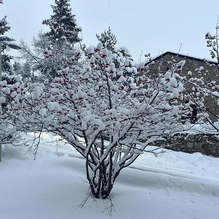 Le Repaire Des Cimes, Cozy And Quiet Appartamento